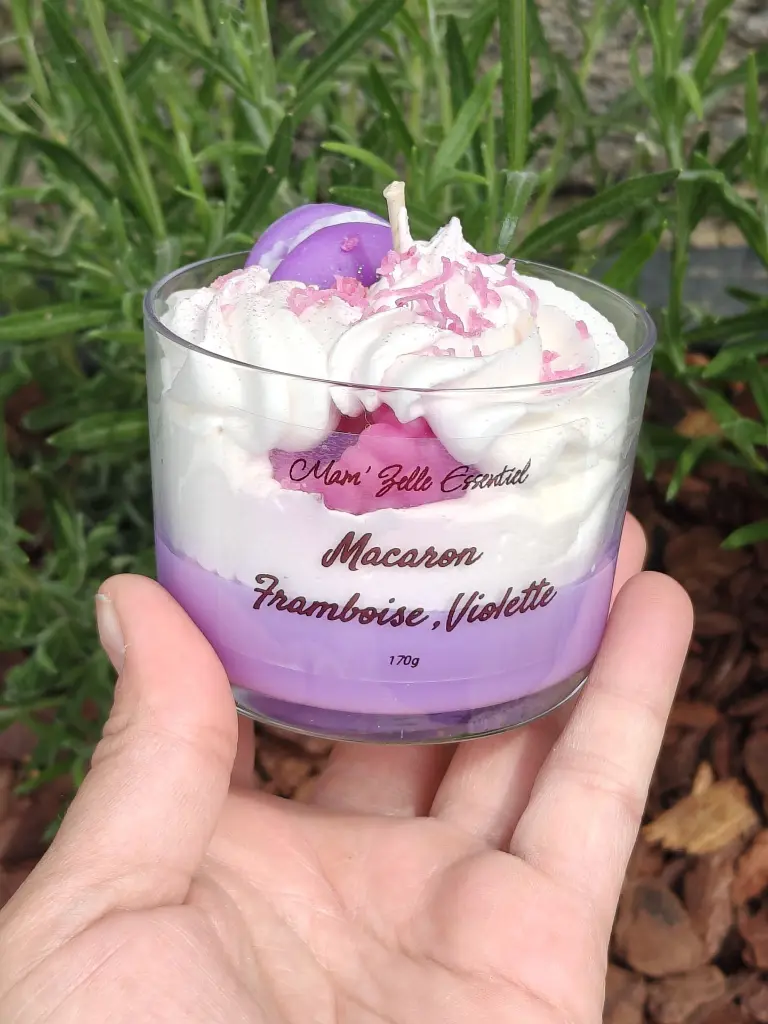 macaron framboise violette1.webp