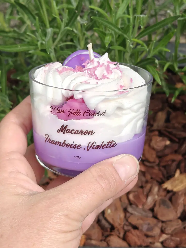 macaron framboise violette2.webp