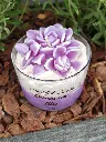 Douceur de Lilas3.webp