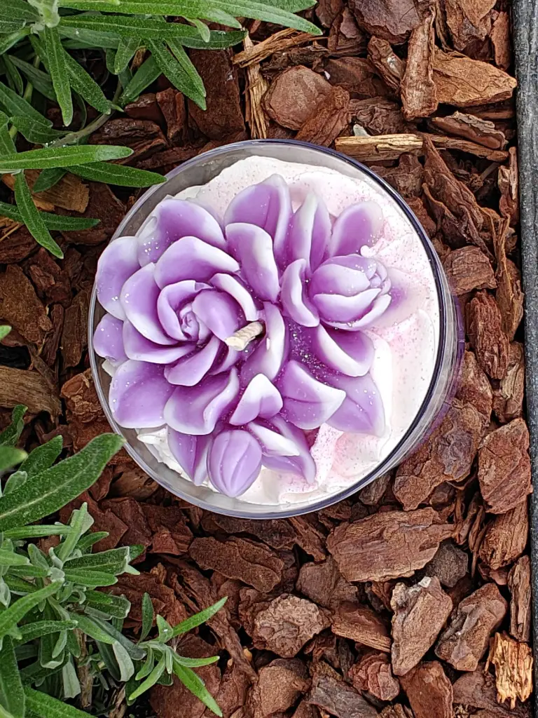 Douceur de Lilas2.webp