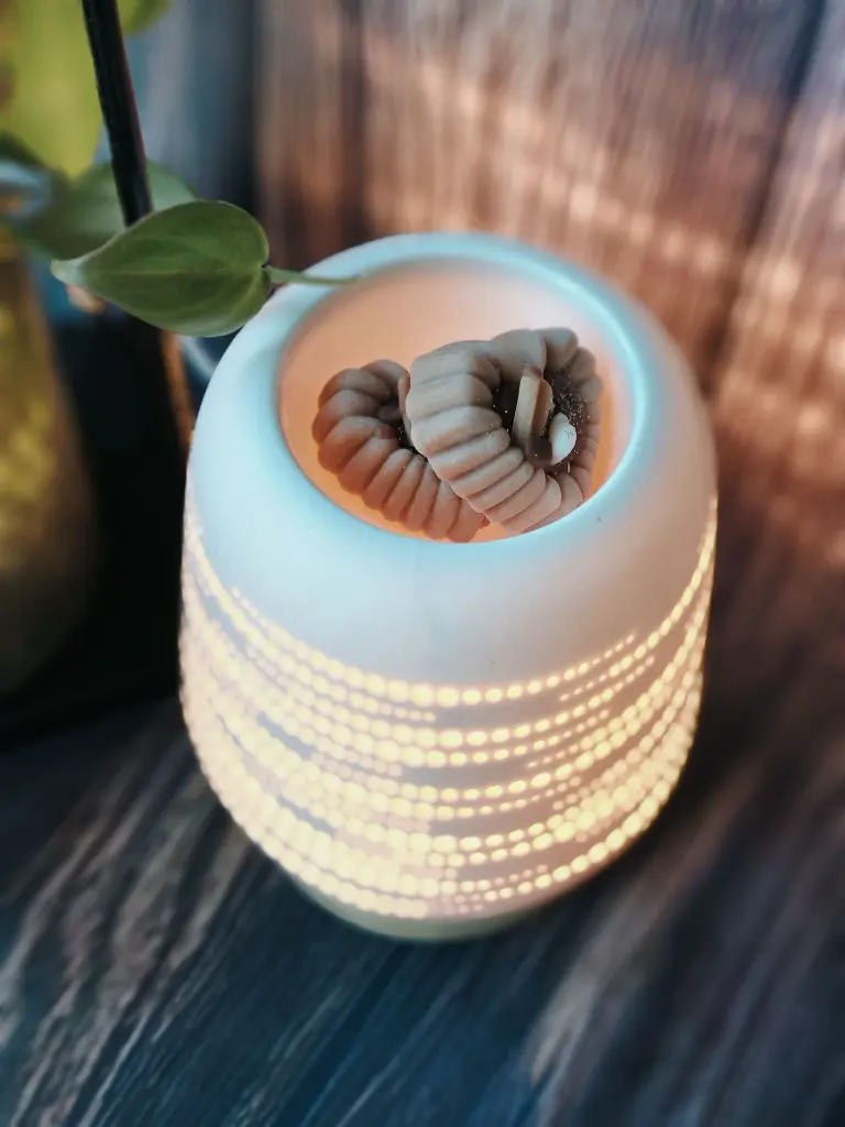 bruleur lampe ceramique3.webp