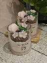 éveilfloral1.webp