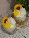 lapindespaquerettes3.webp
