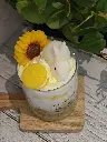lapindespaquerettes4.webp