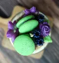 mysteredecypres1.webp