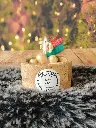 balade en foret 1.webp