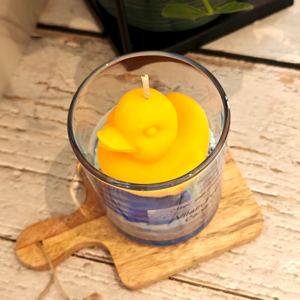 vilainpetitcanard4.webp