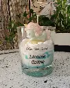 licornecaline3.webp