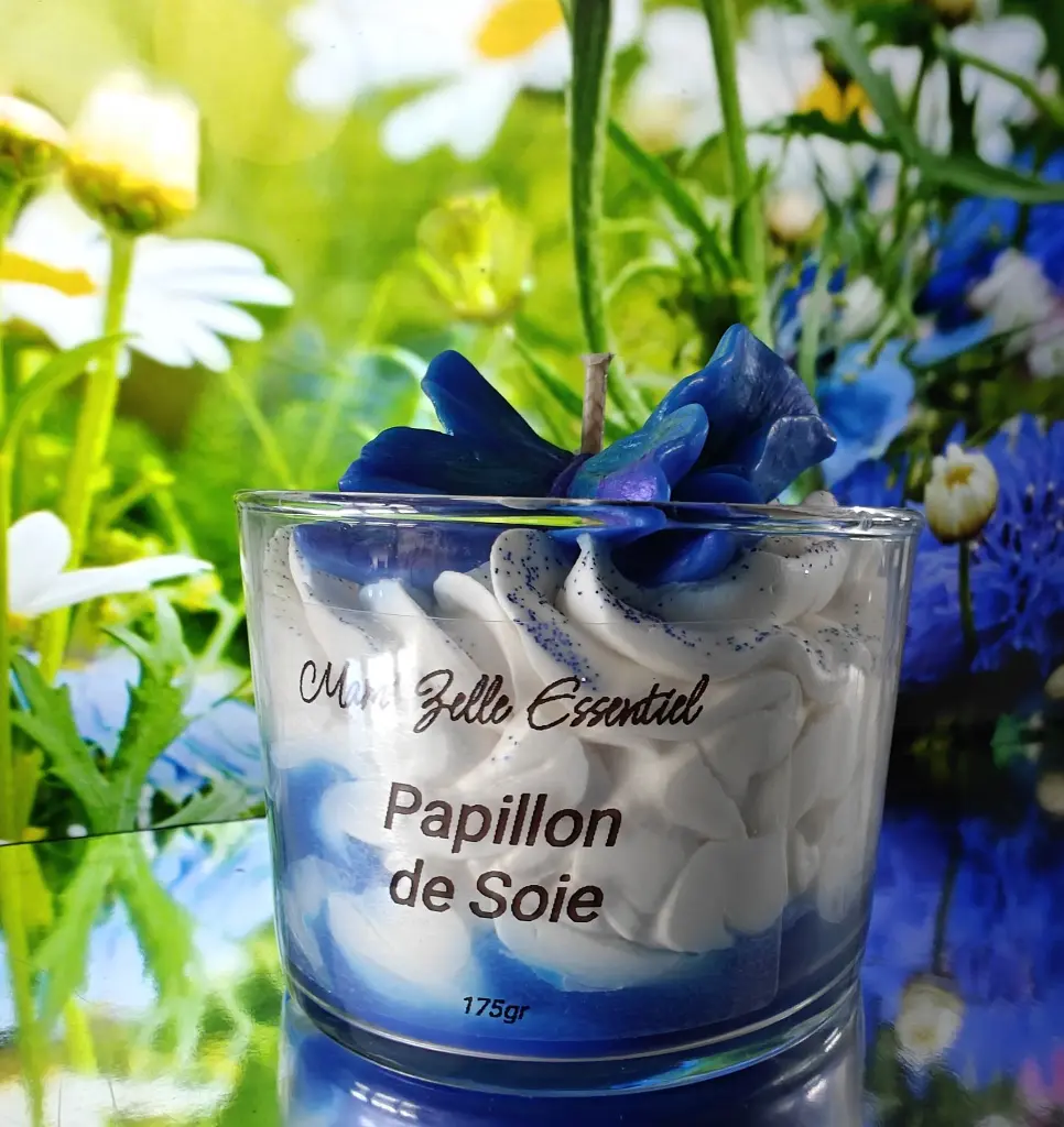 papilondesoie2.webp