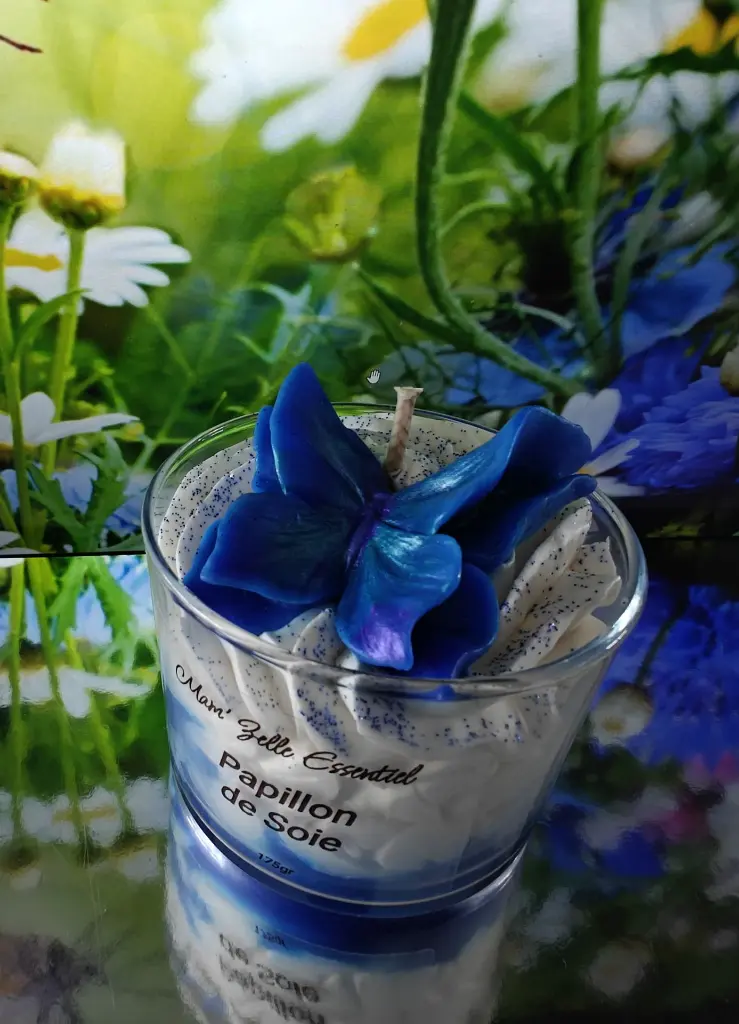 papillondesoie3.webp
