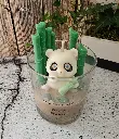pandipanda2.webp