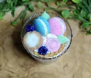 chene enchante new1.webp