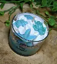 blue coconut new9.webp