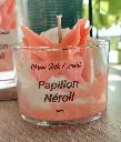 papillon neroli3.webp