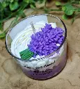 reve de provence3.webp