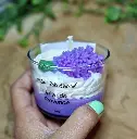 reve de provence 2.webp