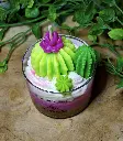 pop citronelle3.webp