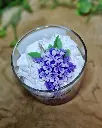 eclat de lilas1.webp