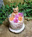 elegance feline new3.webp