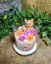 elegance feline new1.webp
