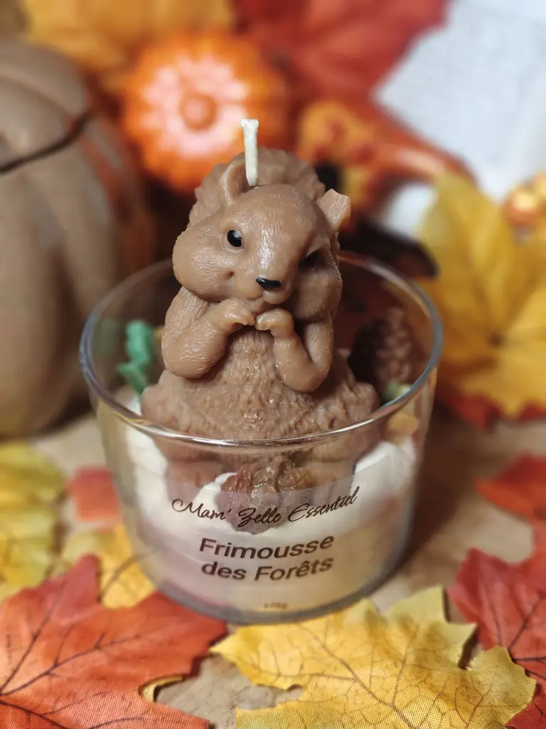 frimousse des forets1.webp