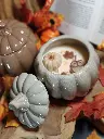 citrouille surprise 3 (1).webp