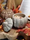 citrouille surprise4.webp