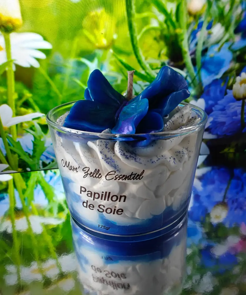 Papillon de Soie