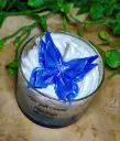 Papillon de Soie