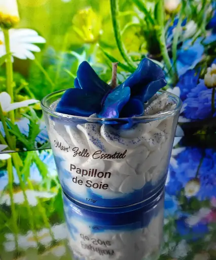 Papillon de Soie