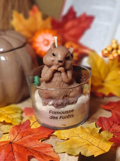 Frimousse des Forêts 