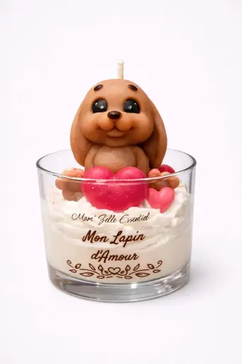 Mon Lapin d'Amour